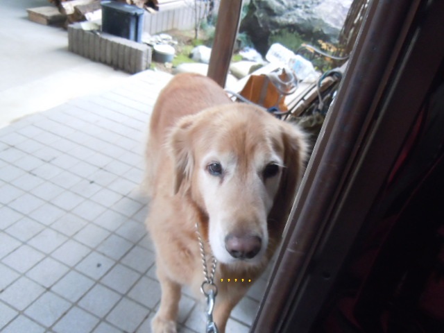 f0114128_014716.jpg