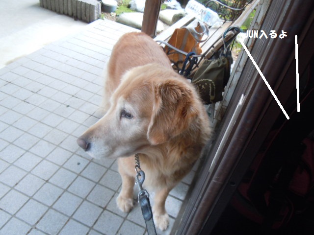 f0114128_0165444.jpg