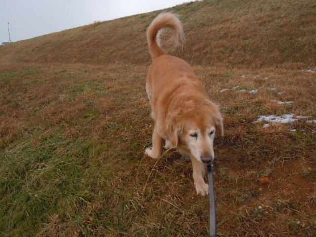 f0114128_05103.jpg