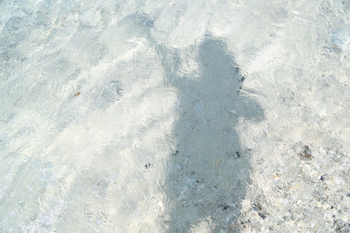 c0222732_17184422.jpg