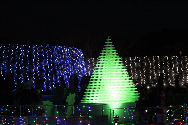 e0200132_22435280.jpg