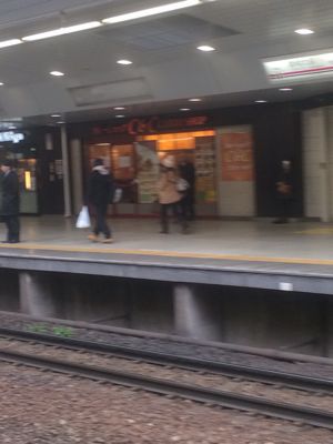注目_e0069433_15245942.jpg