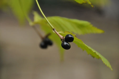 f0302638_23511732.jpg