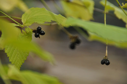 f0302638_23512577.jpg