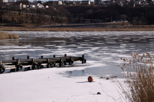 おだやかな年の瀬～雪がないね。　１２月３０日_f0113639_12343661.jpg