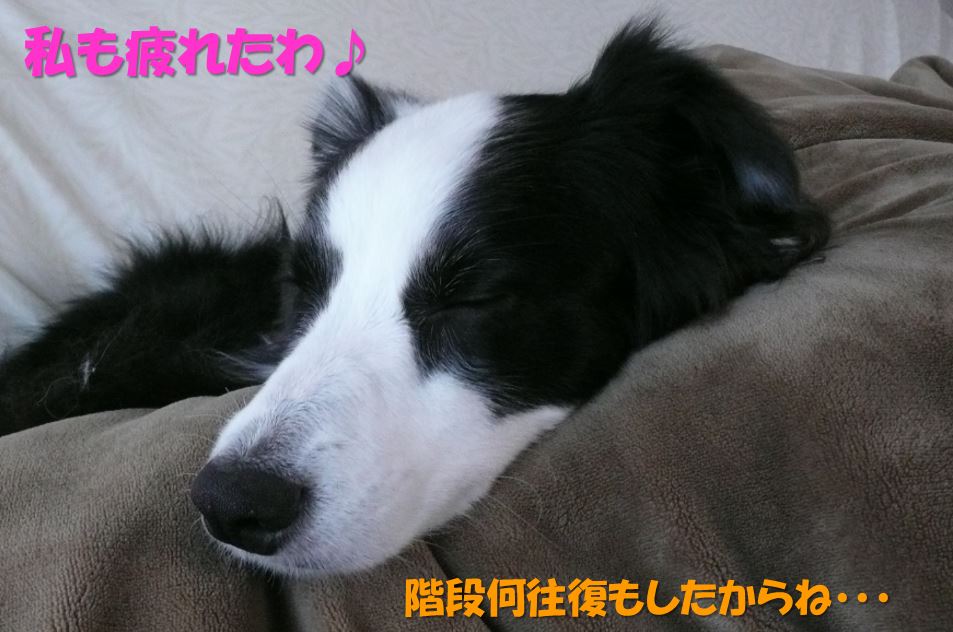 c0147241_23498100.jpg