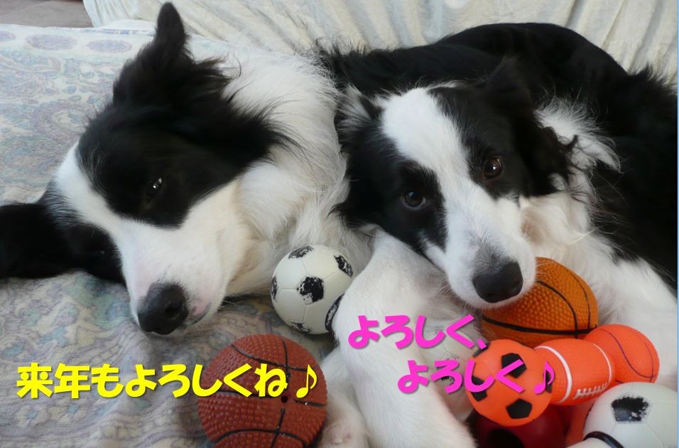 c0147241_23501028.jpg