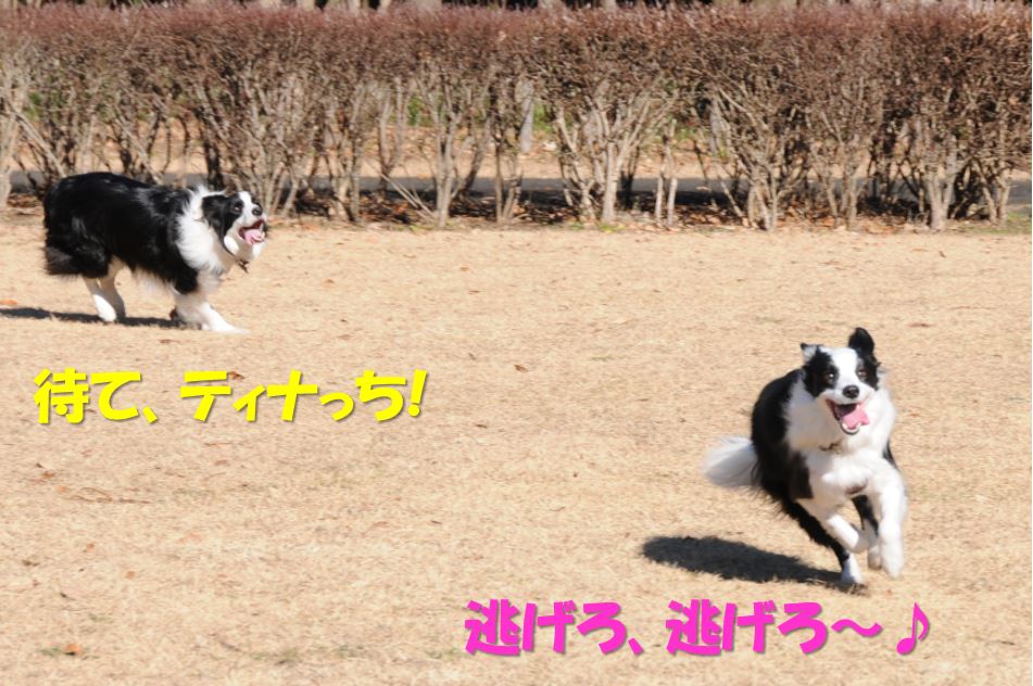 c0147241_2350321.jpg
