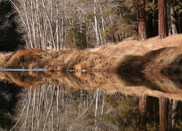 Yosemite 7 Reflection-2_a0247342_1322926.jpg