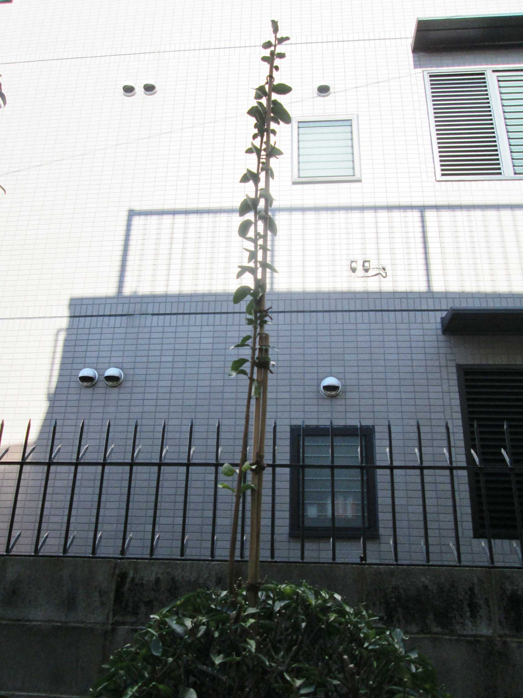 f0079343_9523844.jpg