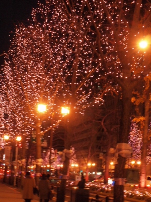c0213947_0142495.jpg