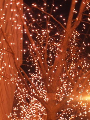 c0213947_0151410.jpg