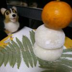 ネギちゃうし!_a0150850_14234458.jpg