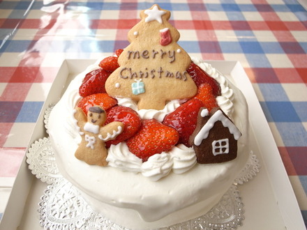 クリスマスデコレーションケーキ_d0139355_201494.jpg