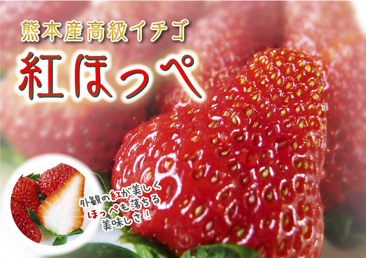 輝くイチゴ「太陽ベリー」（杉本さんちのイチゴ）　販売決定!!_a0254656_16574557.jpg