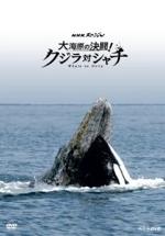 2013年ベスト_b0189364_9203646.jpg