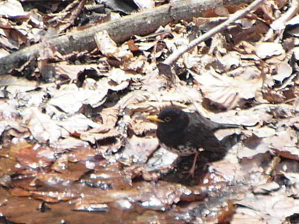 f0215964_98247.jpg