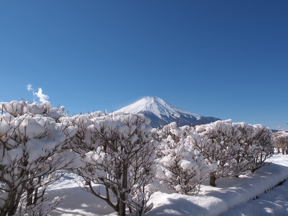 富士山に会いに・山中湖、河口湖_a0073065_12181957.jpg