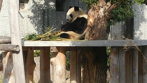 b0286966_11033.jpg