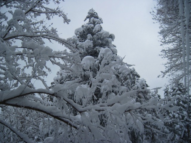 2013.12.30　山スキー風呂塔_c0219866_18181888.jpg