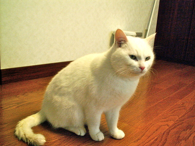 c0246168_114141.jpg
