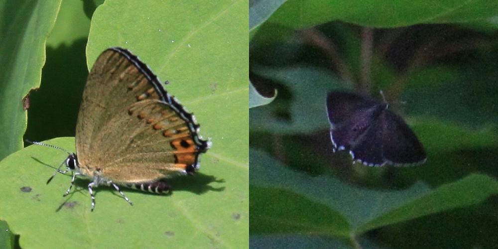 a0146869_047507.jpg