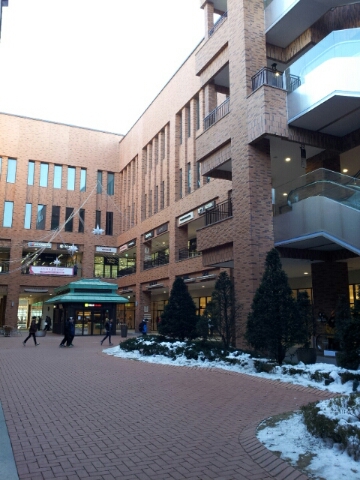 a0315676_1492180.jpg