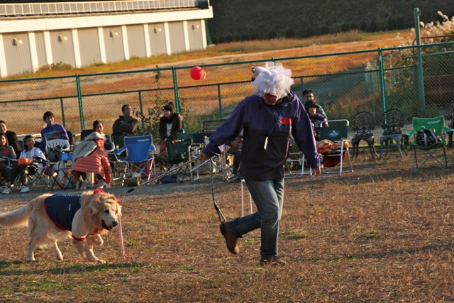 わんわん大運動会⑧・一発逆転仮装リレー①_f0230380_021257.jpg