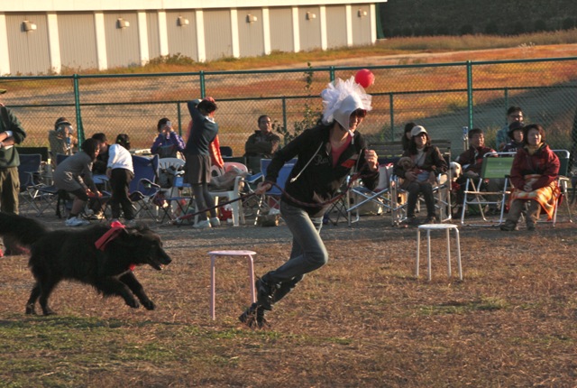 わんわん大運動会⑧・一発逆転仮装リレー①_f0230380_026349.jpg