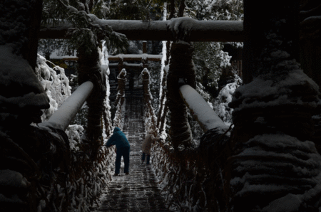 d0133382_211319.gif