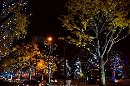 c0229483_133989.jpg