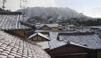 12月29日「肴確保」_f0003283_10353897.jpg