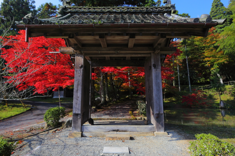 京都・紅葉風景（未発表分）_e0051888_1113015.jpg