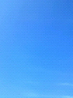 d0247789_13562811.jpg
