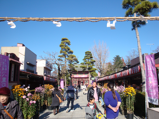c0229591_12513462.png