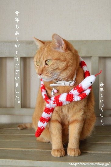 今年もありがとうございました_d0025294_155253.jpg