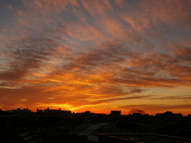 a0203600_23014093.jpg
