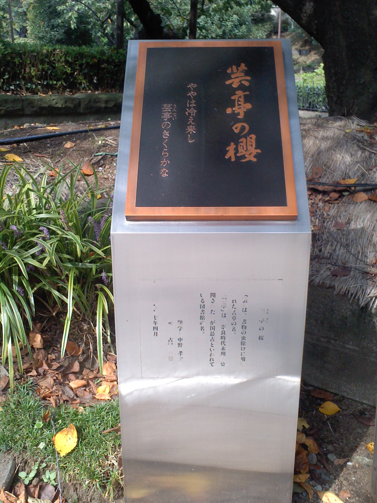e0178600_2059059.jpg