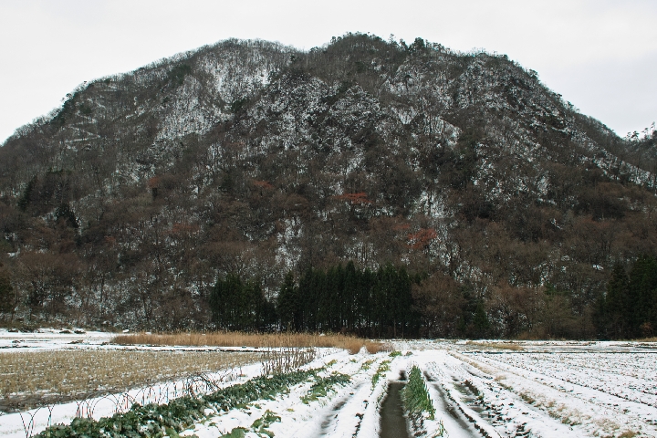 b0215304_1256556.jpg