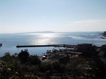 e0008704_222213.jpg