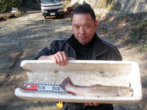 12月31日(火)曇りのち晴れ_f0192504_18235453.jpg