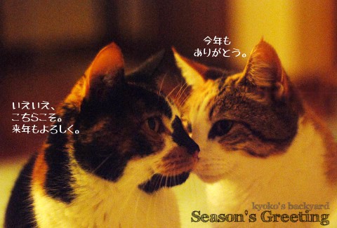 2013年、年末のご挨拶 _b0253205_11294342.jpg