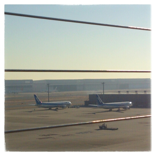 a0242809_98223.jpg