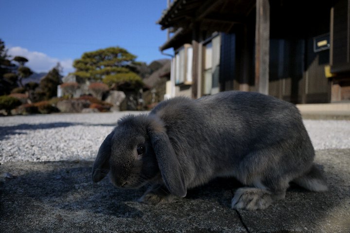 a0268412_22153256.jpg