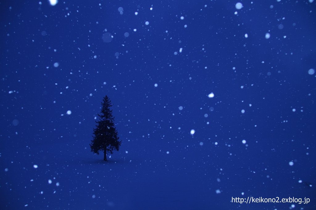 雪降る夜に 小さな手紙 雪降る夜に 小さな手紙