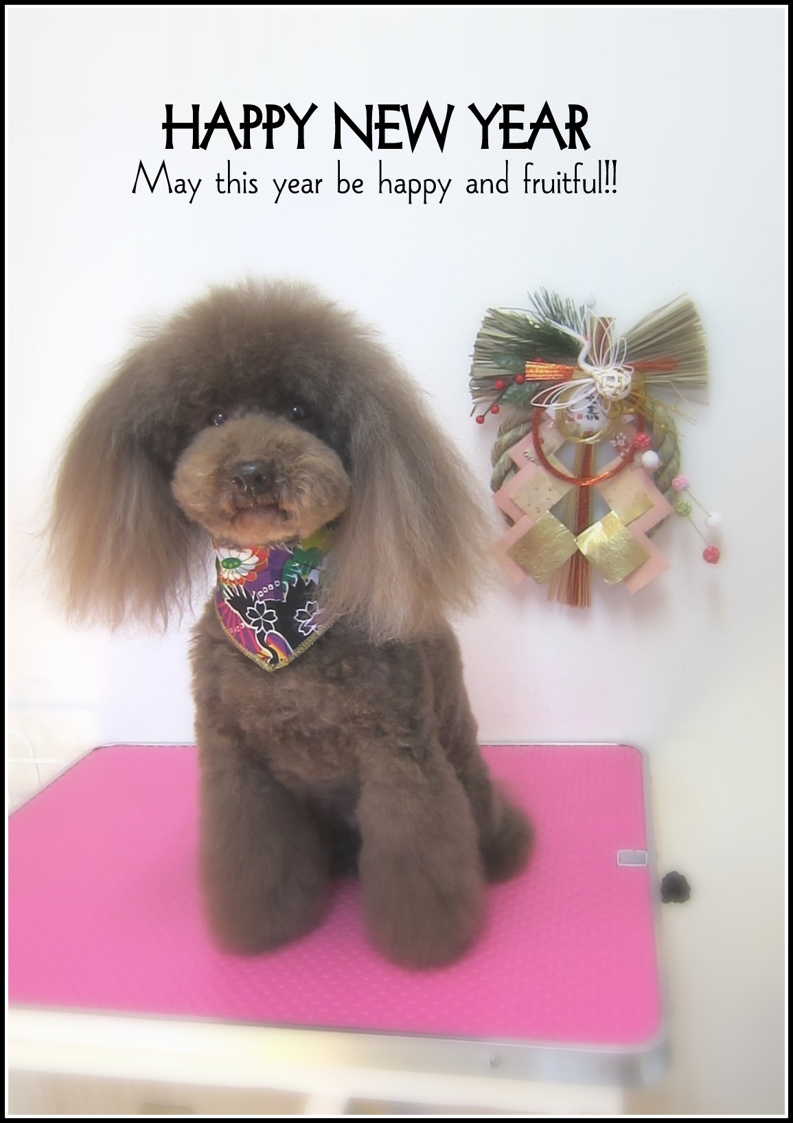 *新年明けましておめでとうございます*_d0317115_15325741.jpg