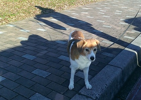 c0084117_2074090.jpg