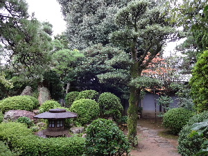 a0157619_23235931.jpg