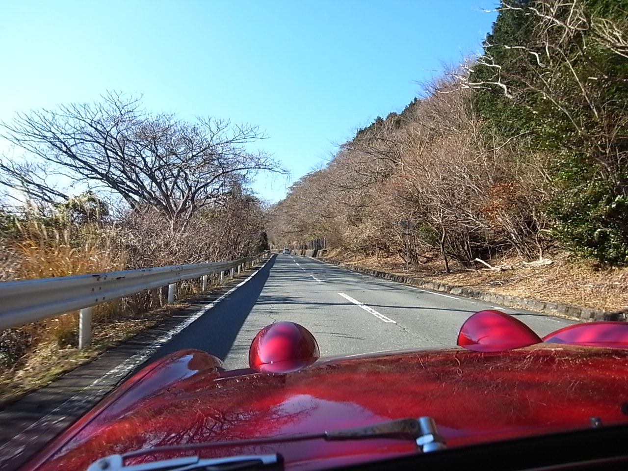 a0182722_1631968.jpg