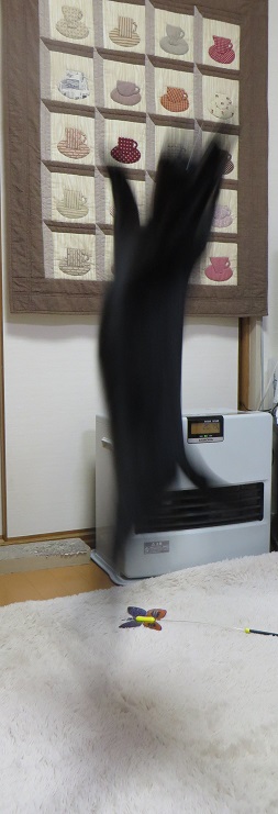 c0280322_22381752.jpg